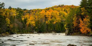 Penobscot River