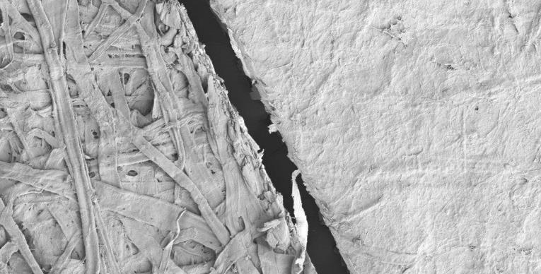 black and white image of magnified paper with nanocellulose added (right) and without nanocellulose (left).