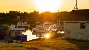 A photo of a Maine harbor under golden light