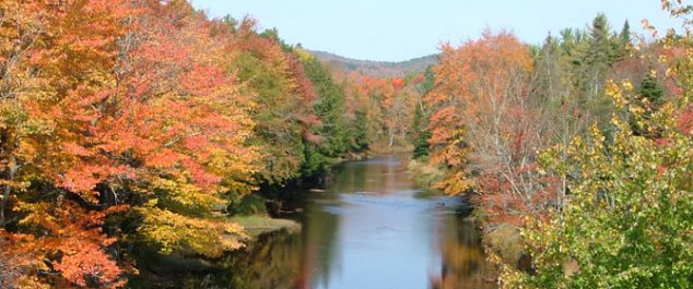 penobscot in fall