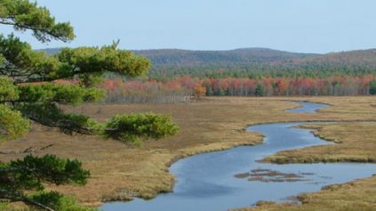 penobscot river