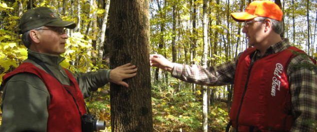 researchers looking at a tree