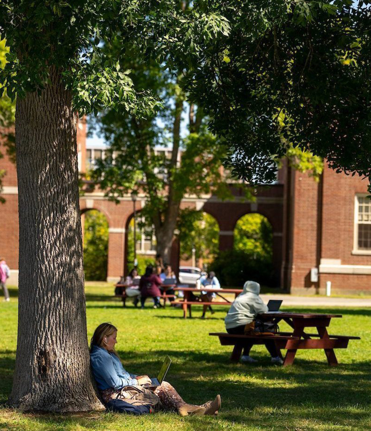 A photo of a student studying under a tree