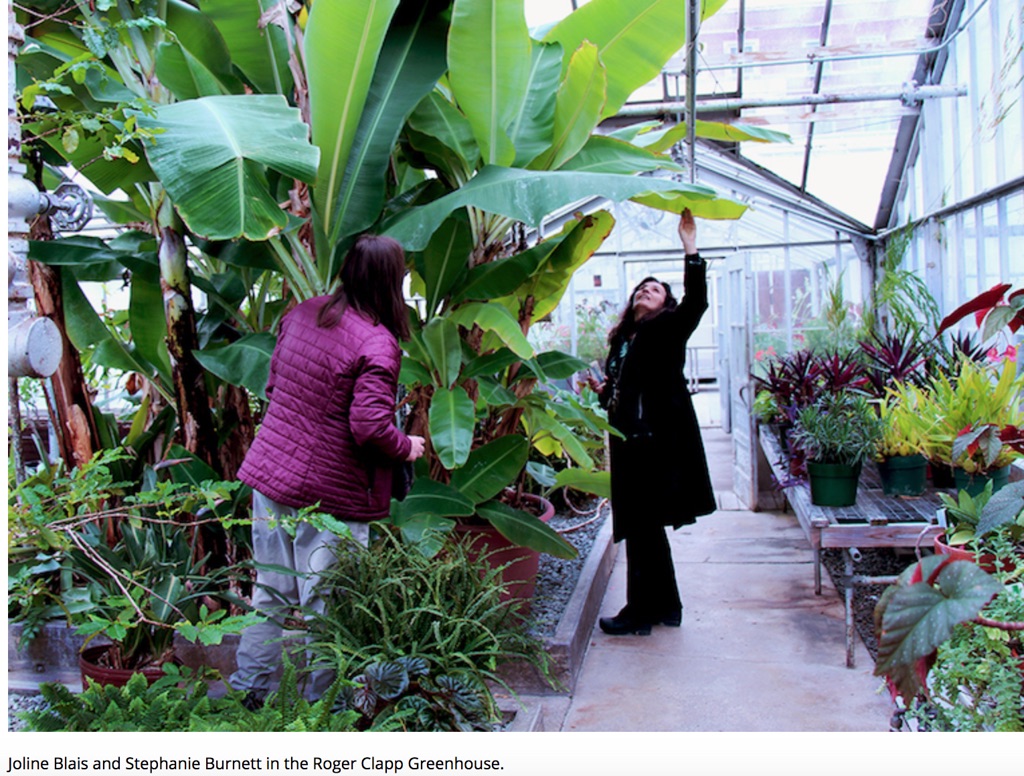 Joline Blais and Stephanie Burnett in the Roger Clapp Greenhouse