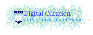 Digital Curation graduate program