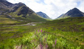 Rannoch Moor