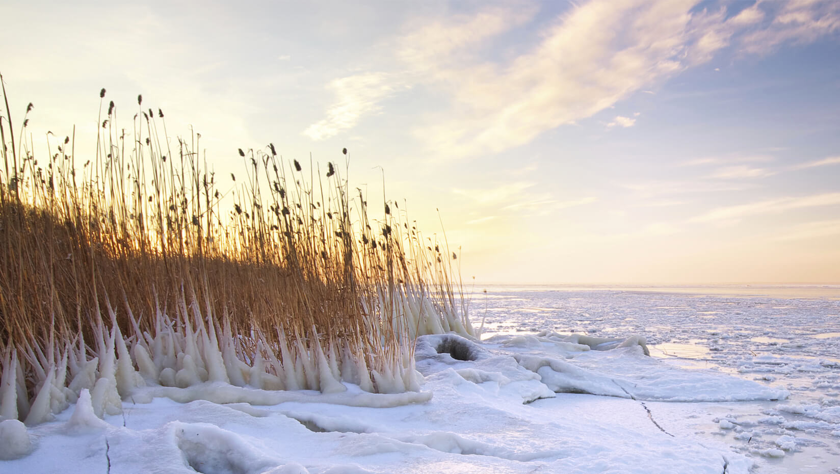 frozen lake