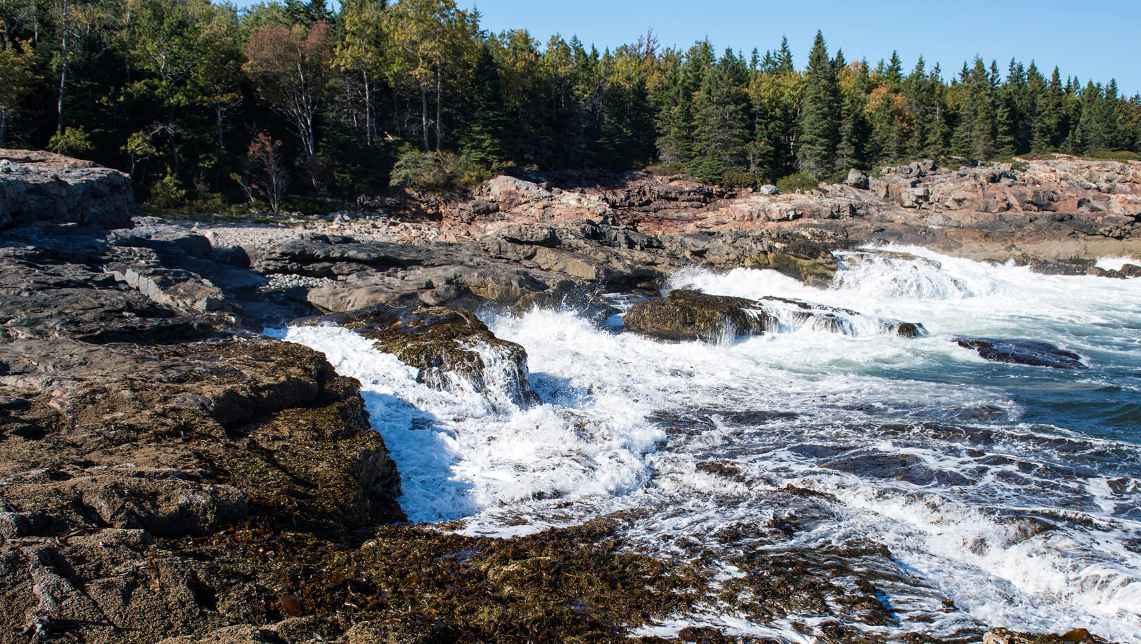 Rocky coast of Maine