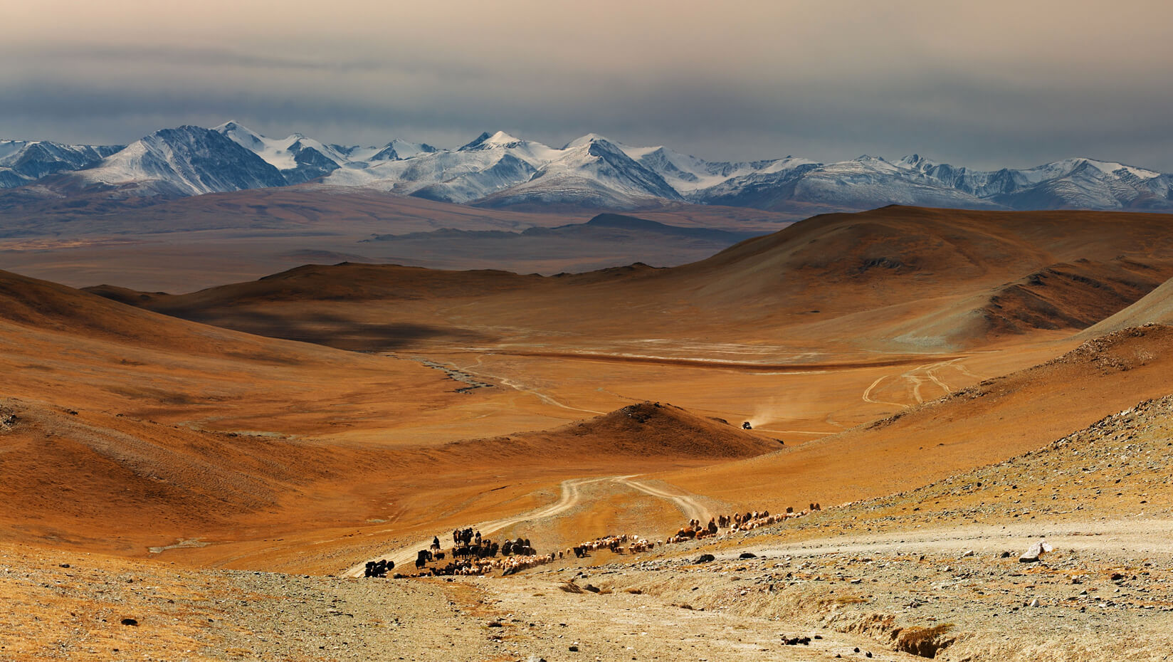 Mountains in Mongolia