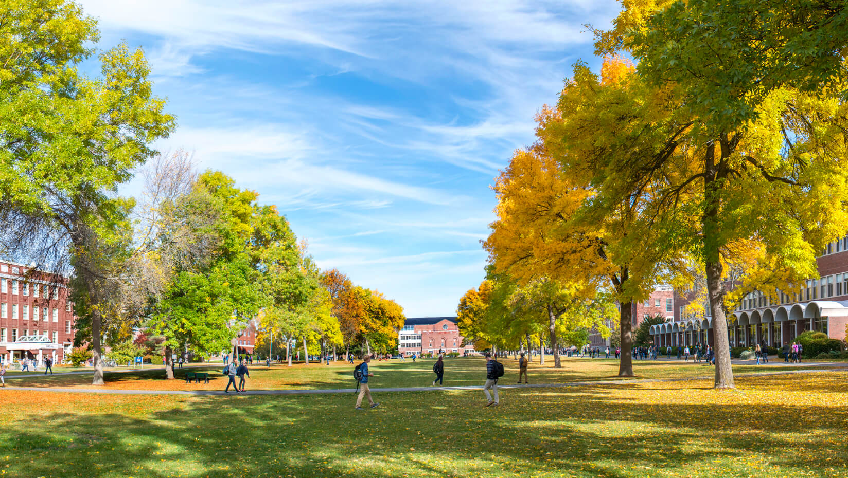 UMaine's Mall