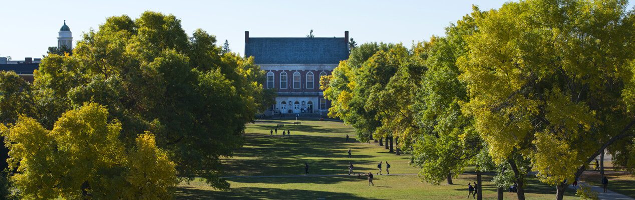 UMaine's Mall
