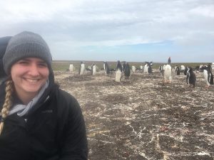 Falkland Islands