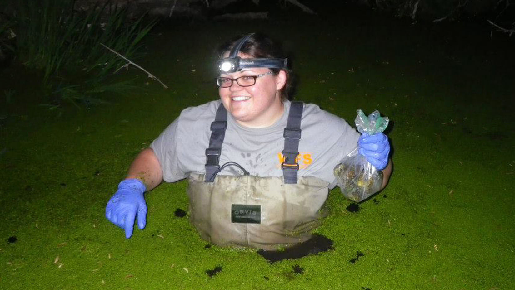 Sarah Vogel catching bullfrogs in Arizona