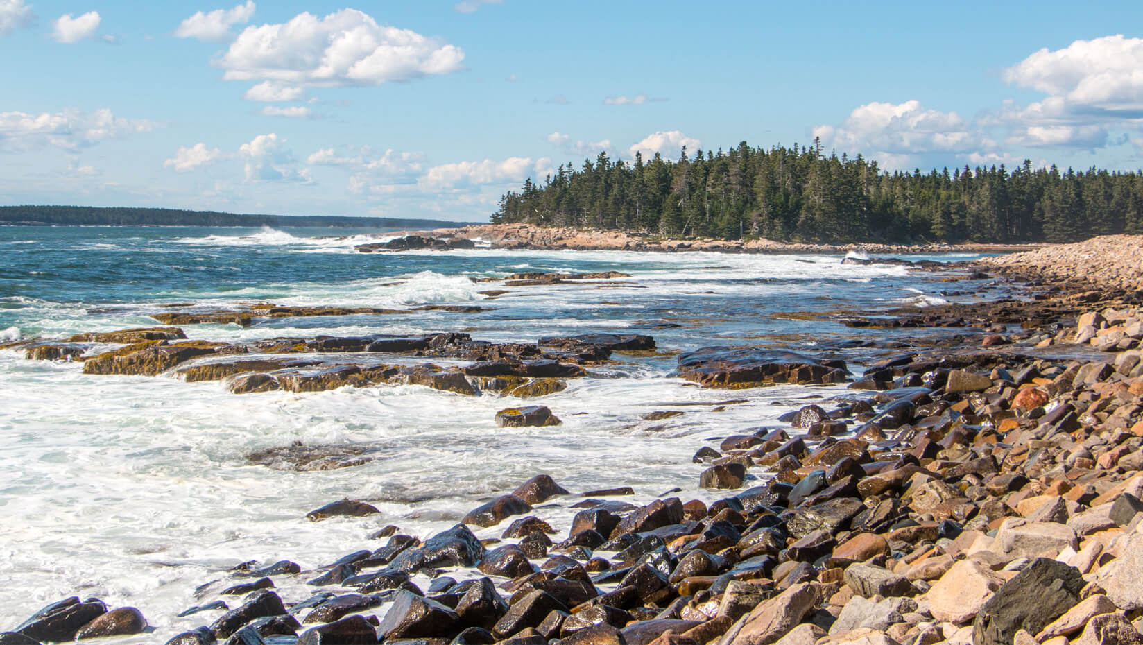 Maine coast