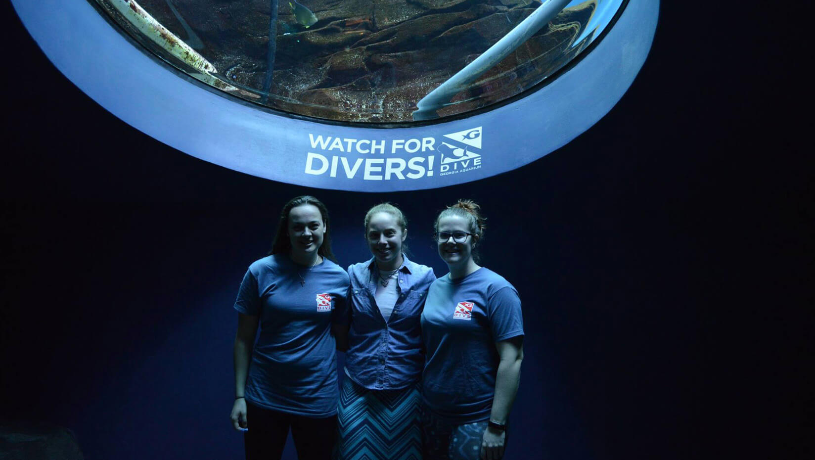 UMaine divers