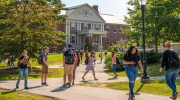 Princeton Review news feature