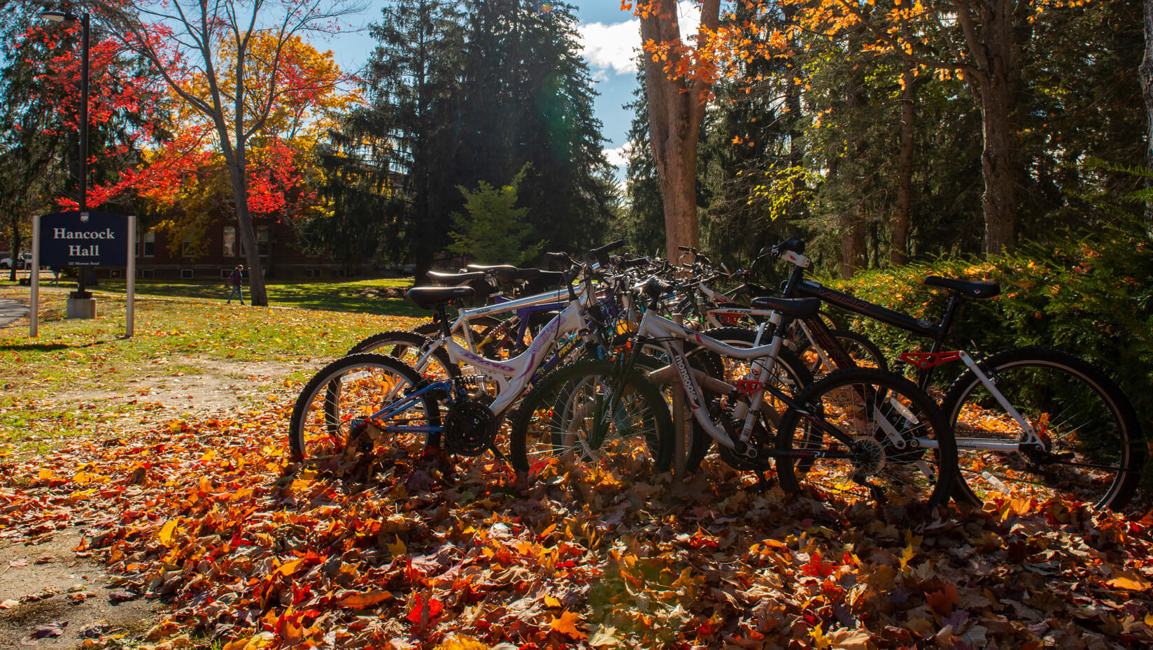 Bike rack on campus