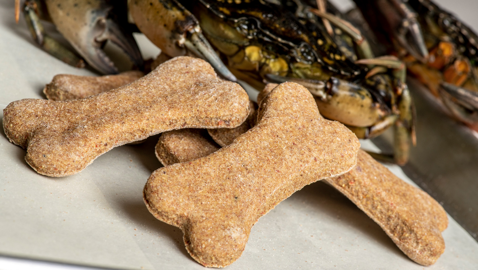 Dog biscuits made with invasive green crabs pass the taste and