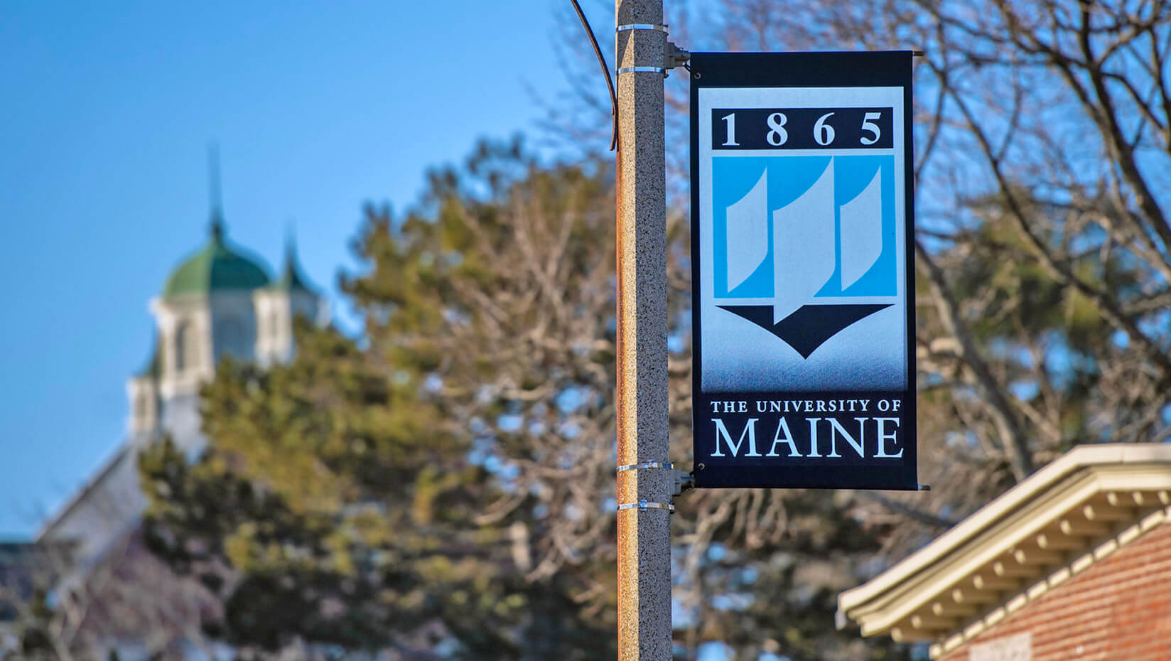 Flag on UMaine's campus