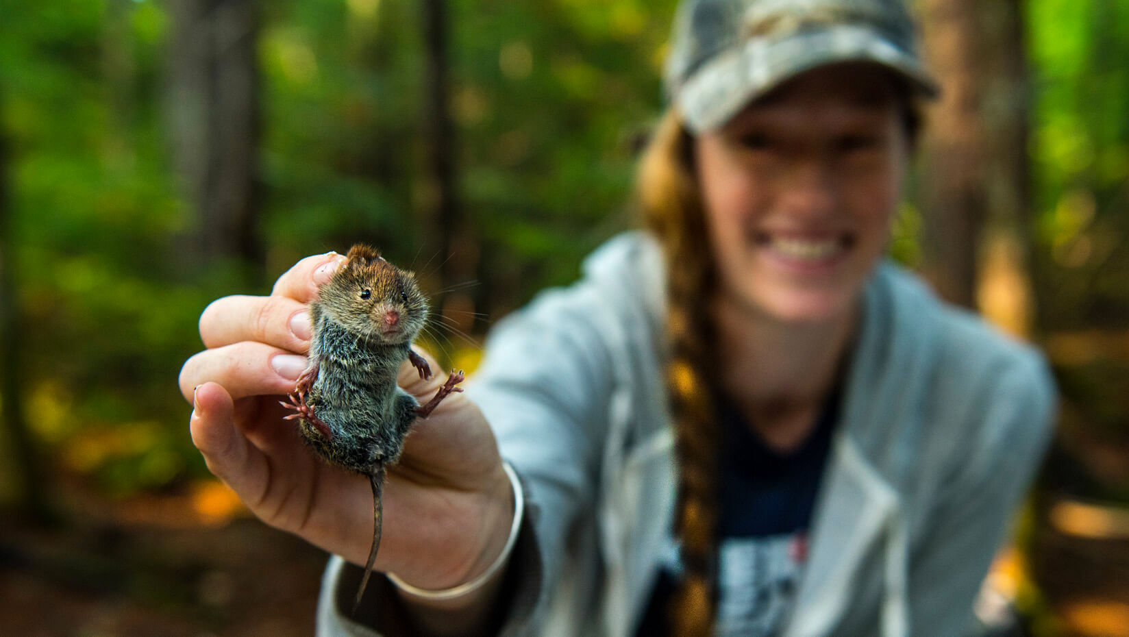 Small mammal research