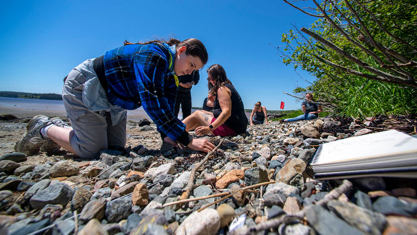 Students on the coast