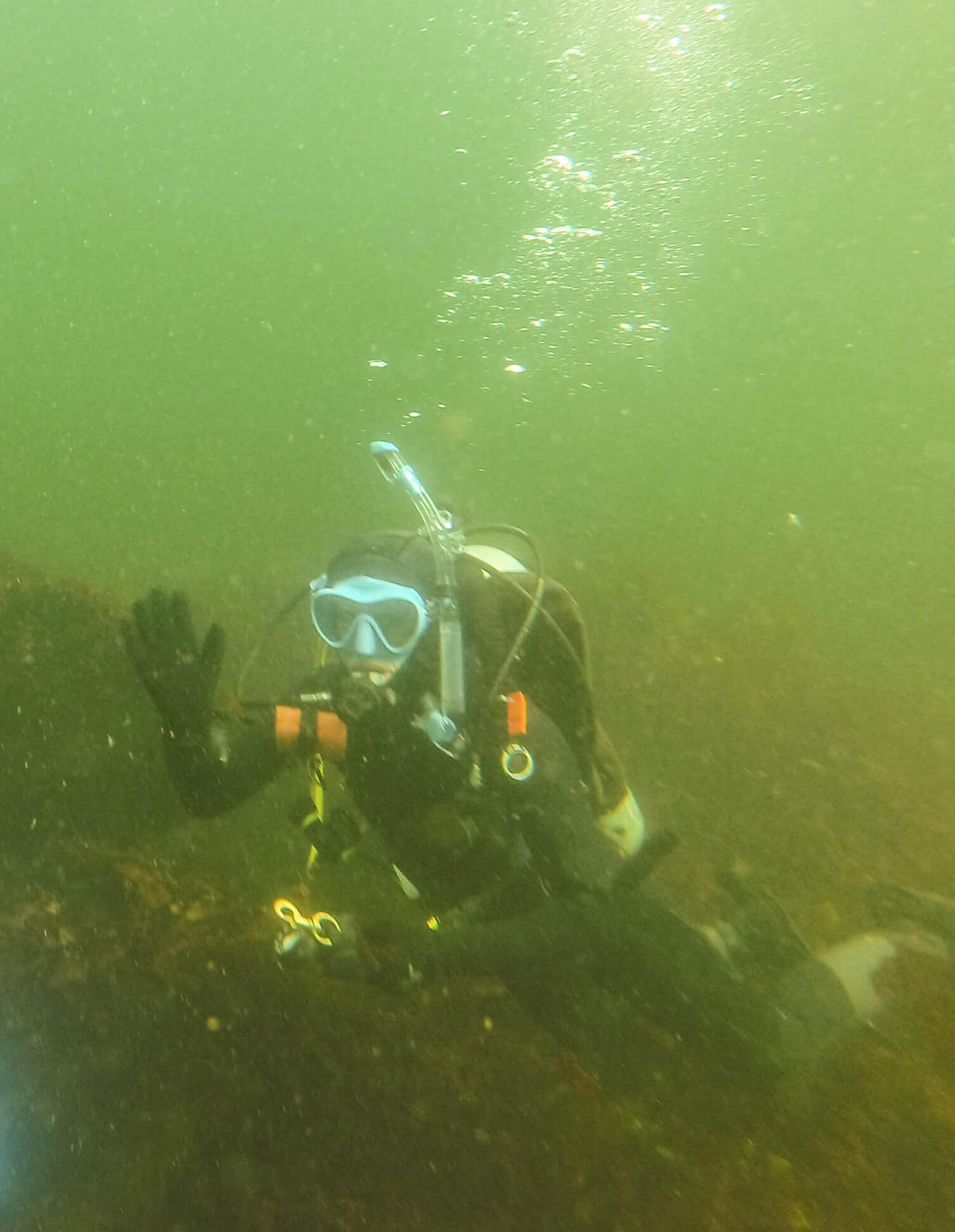 Montana Benning and Melissa Britsch: Scientific diving takes marine ...