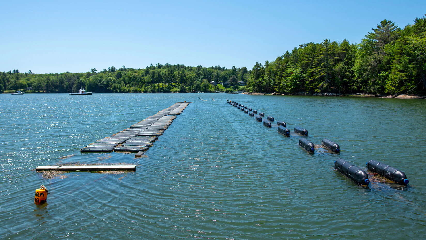 Aquaculture farm