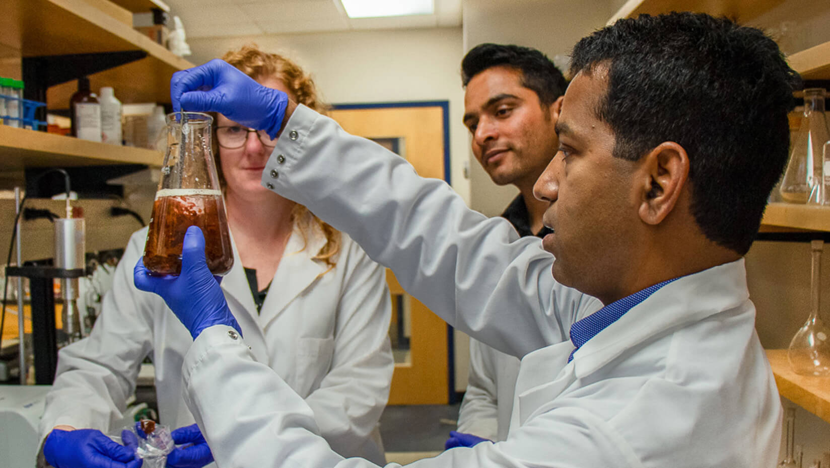 Seaweed research in a lab