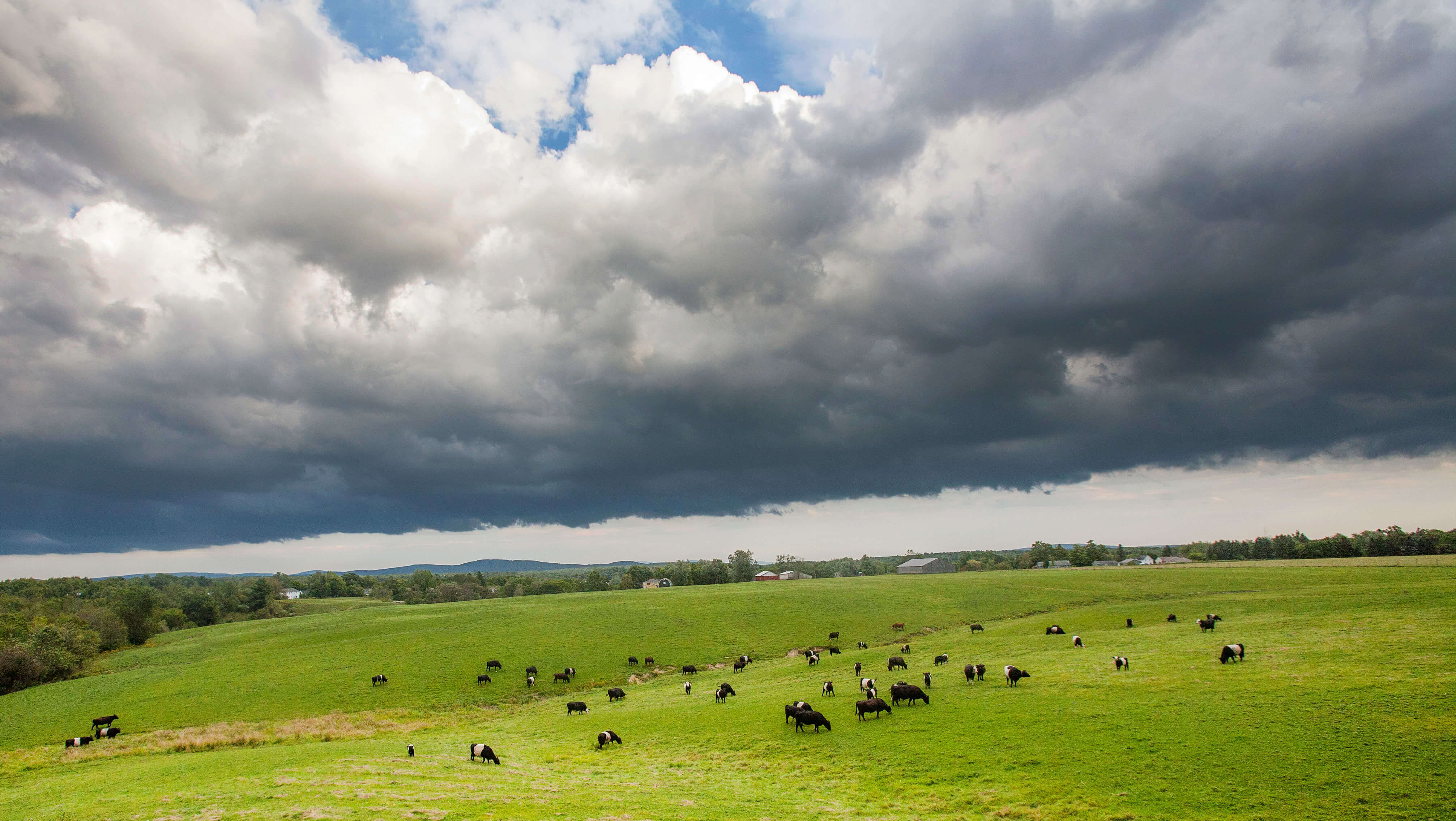 Clouds over cow field