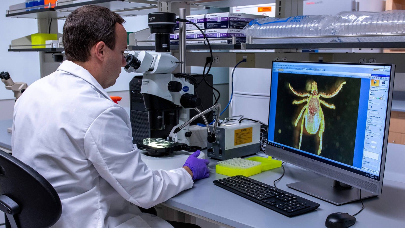 Tick lab research