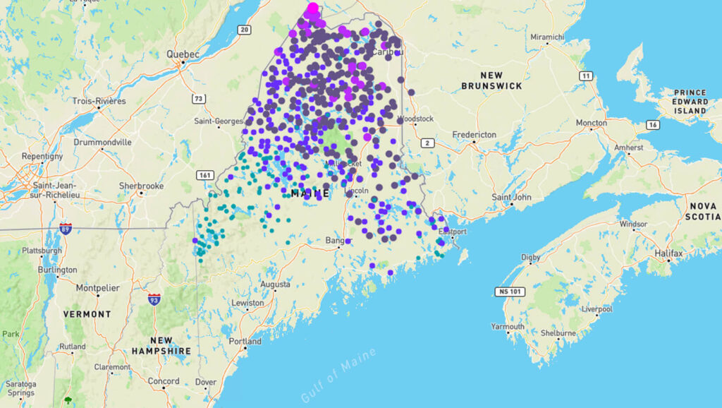 New online app helps visualize, interpret spatial data on spruce ...