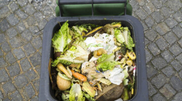 Food waste in a garbage can