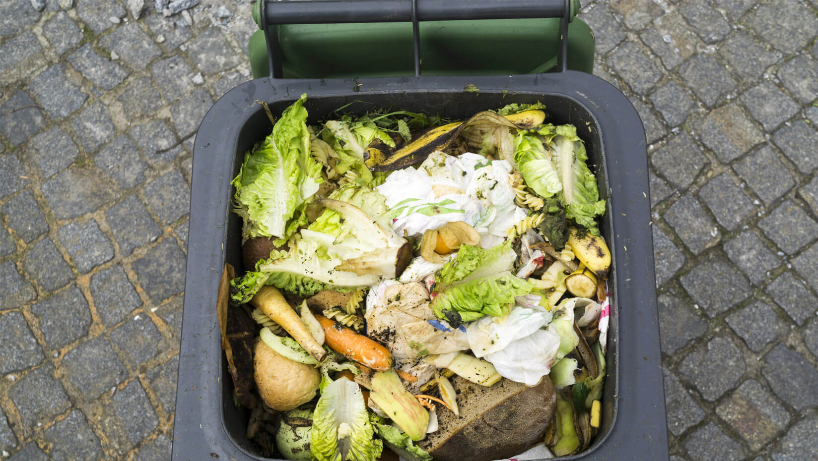 Food waste in a garbage can