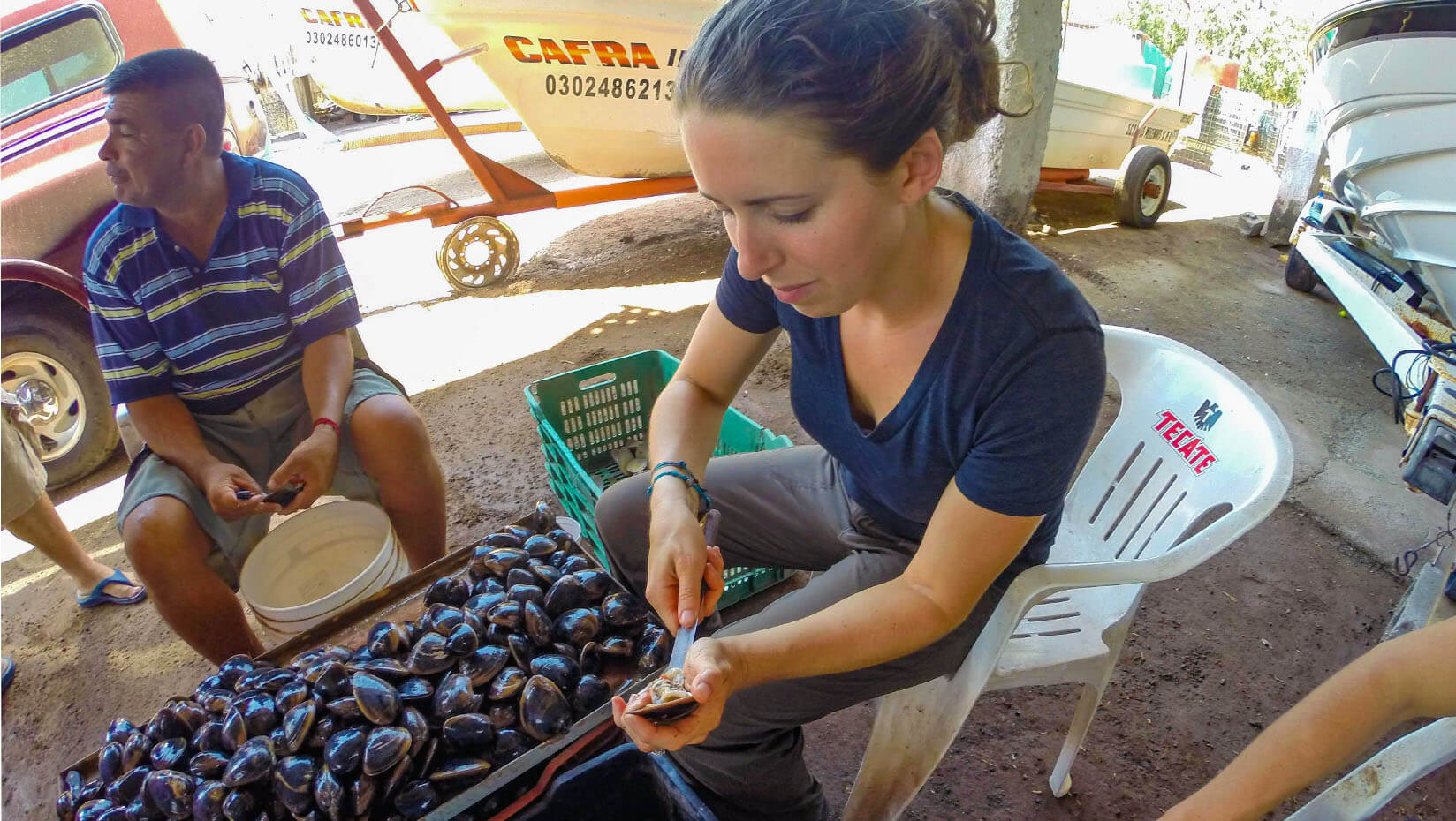 Researcher processing a clam in Mexico