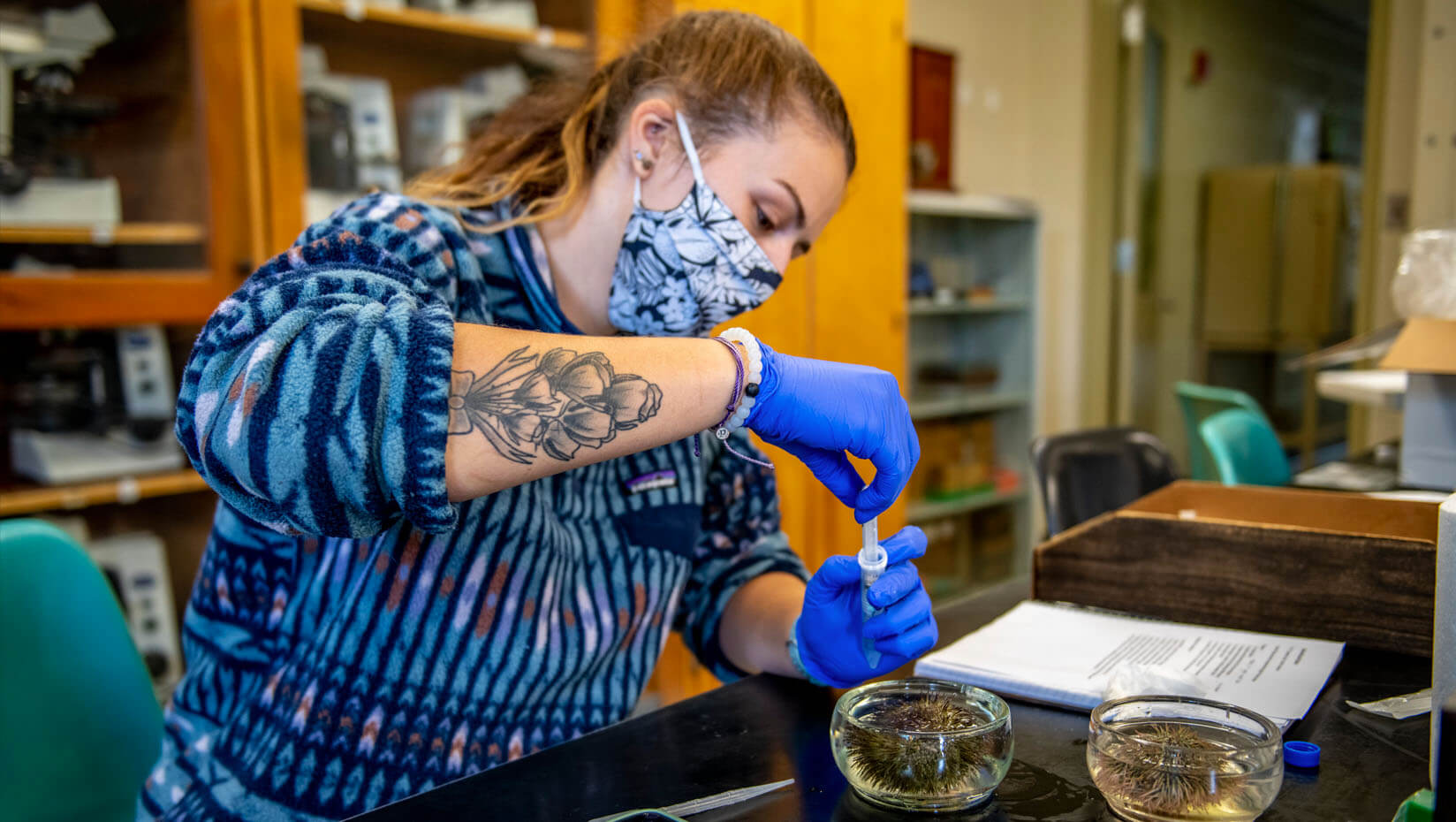 Student in a lab class