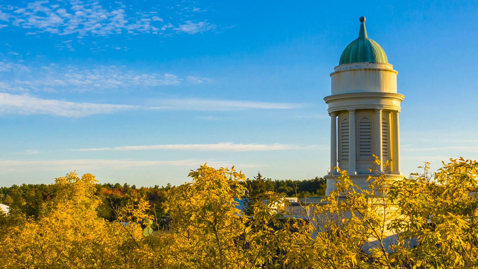 Treetop view of Stevens Hall cupola