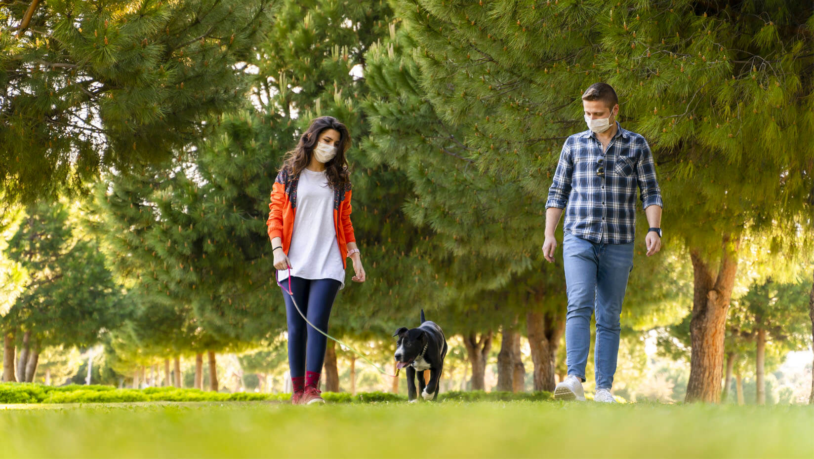 A couple walking a dog in a park