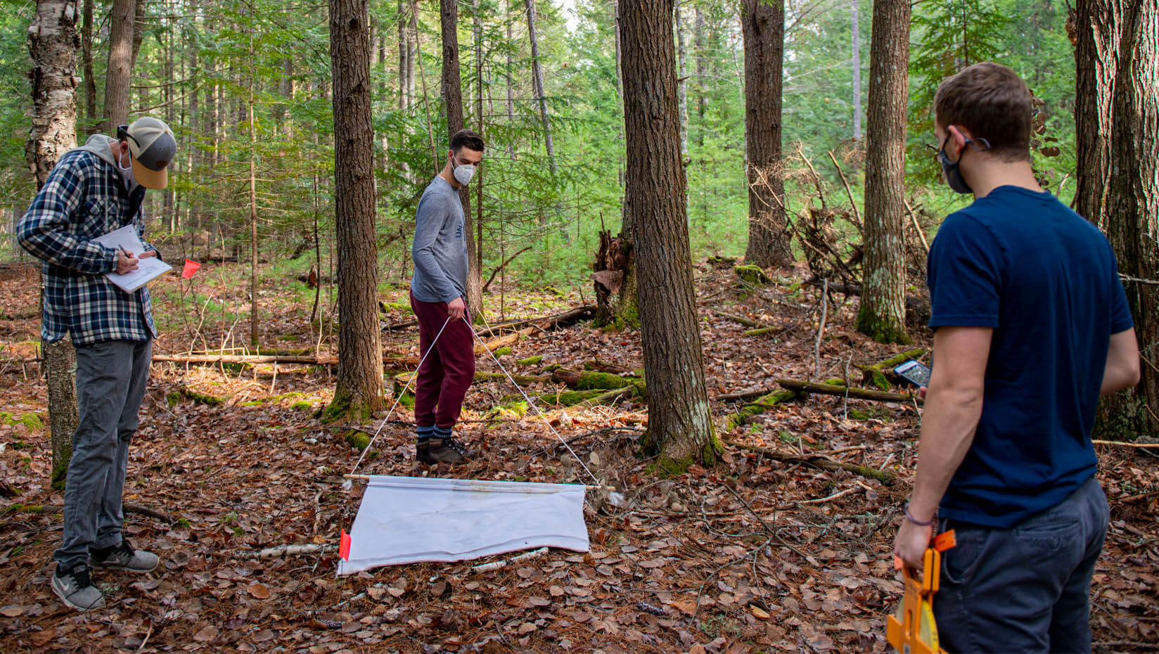 Class in the woods