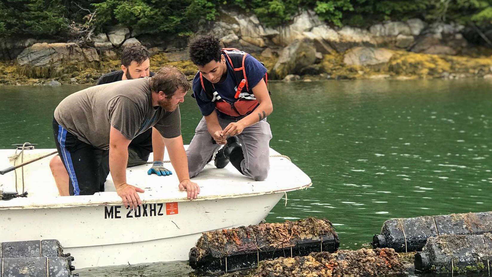 Students in a boat conducting oyster research