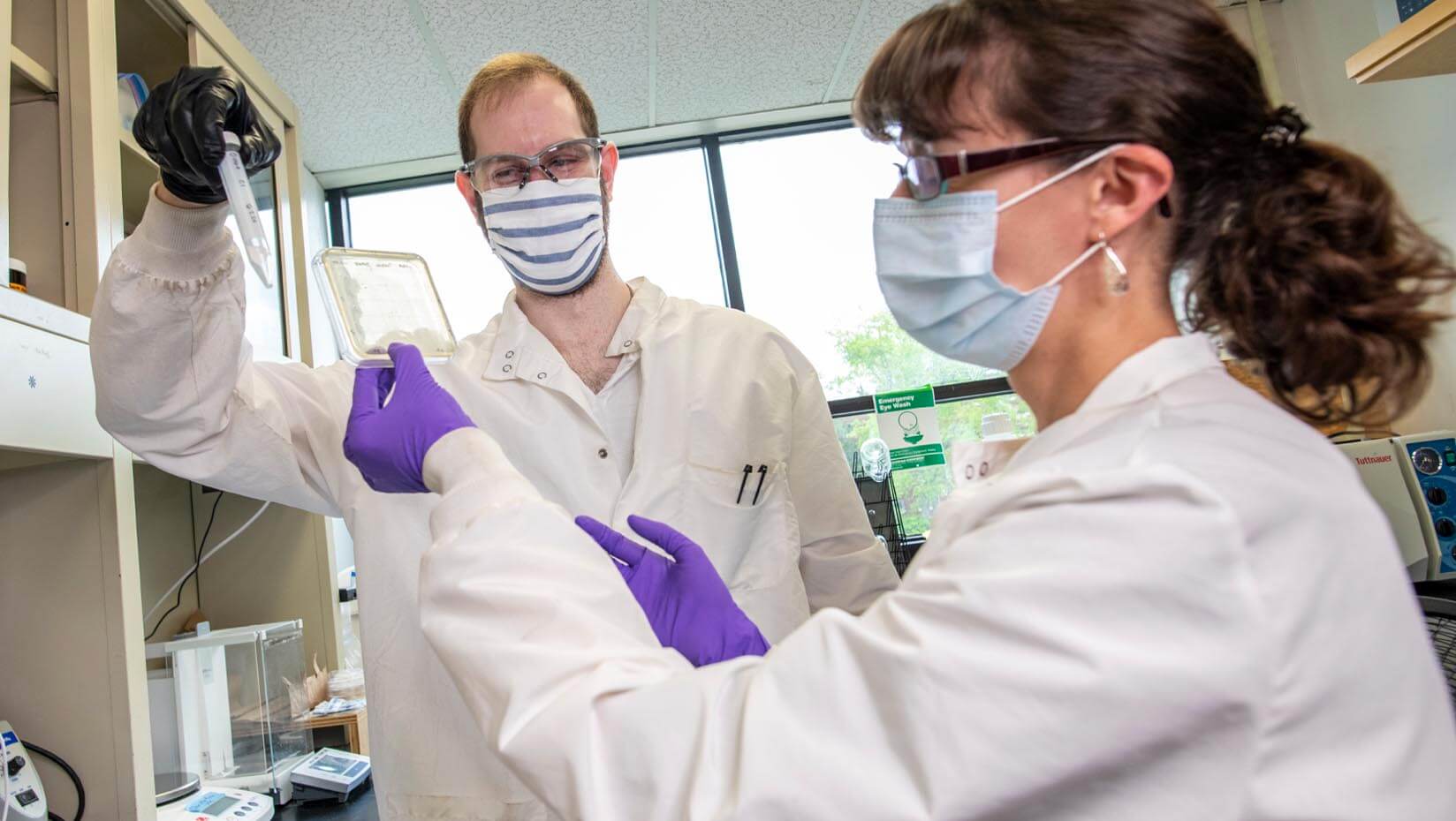 Researchers work in a lab on a water purification project