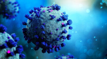 3D rendering of a a coronavirus cell