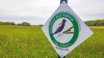 A grassland bird habitat sign in a field near UMaine's campus