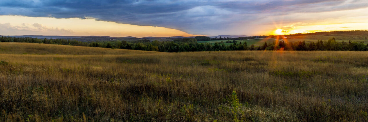A field in Mars Hill, Maine