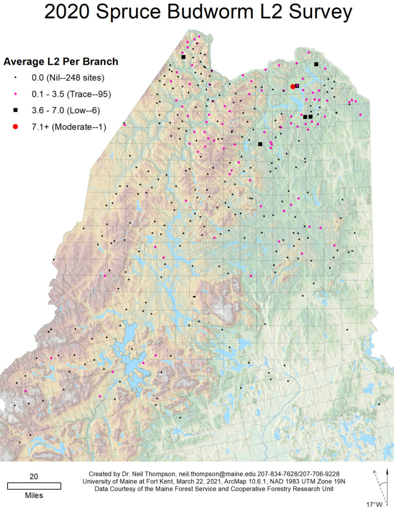 Map of spruce budworm outbreaks in Maine