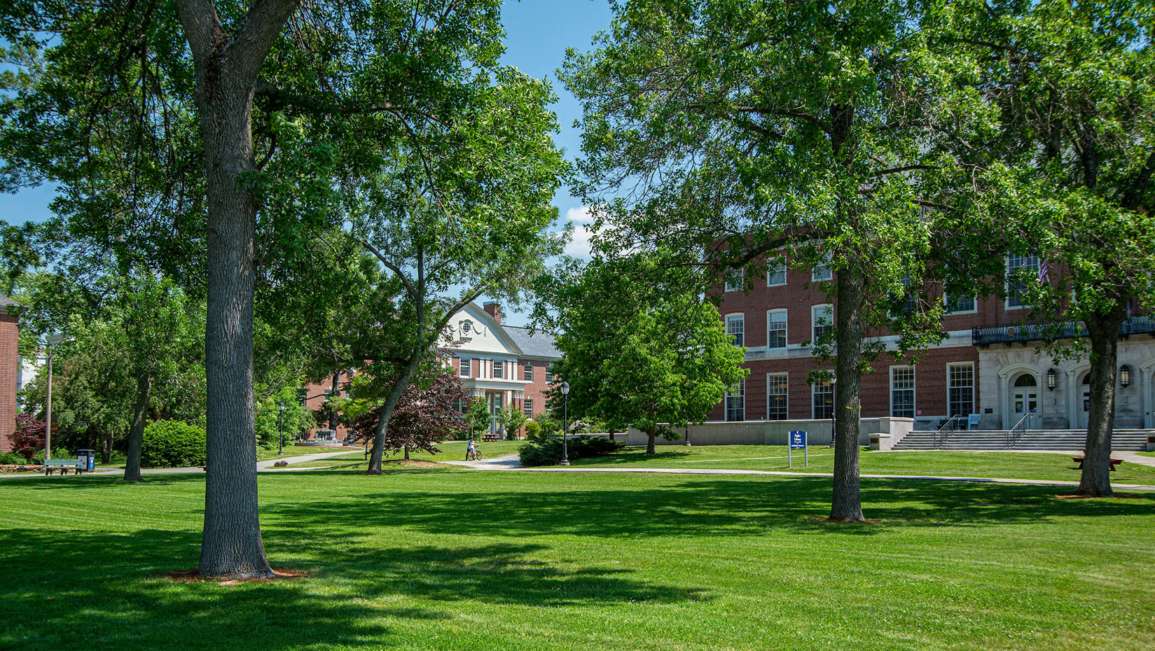 Campus grounds in the summer