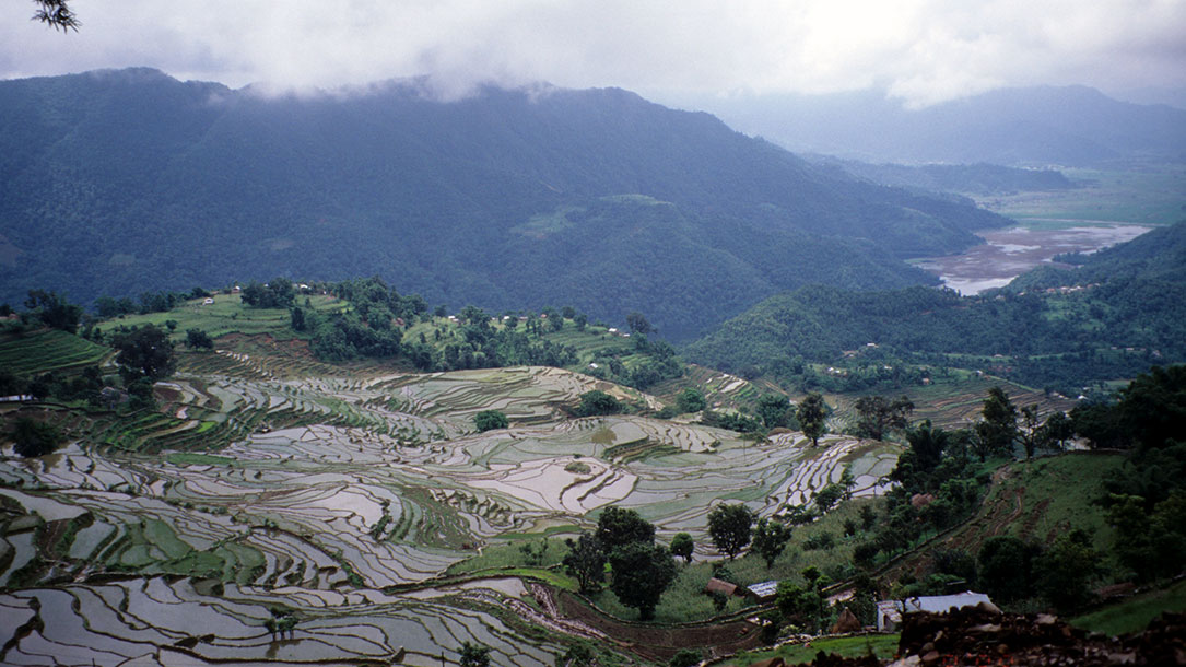 Terraced rice landscapes near Pokhara, Nepal. The agricultural transformation of vast areas of landscape is part of the imprint of the ongoing Anthropocene Event.