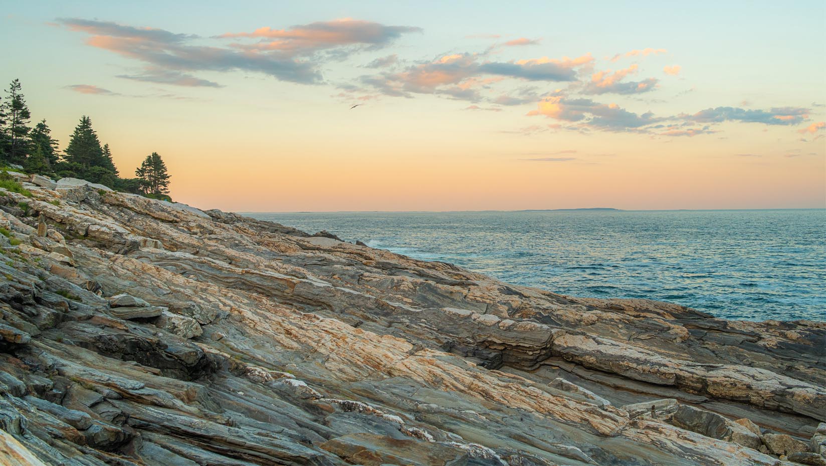 A photo of the rocky Maine coast