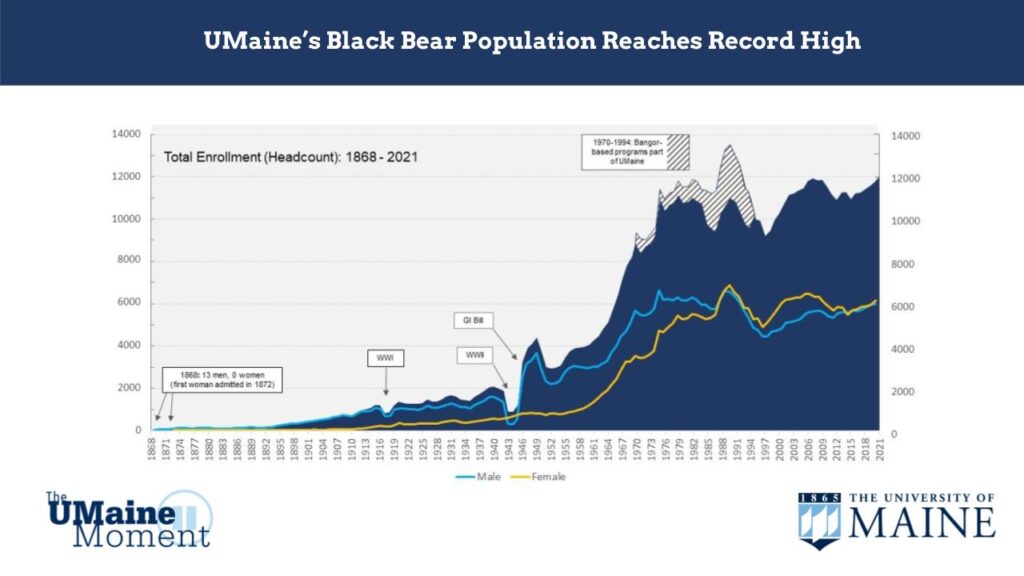 A chart showing the increase in UMaine's enrollment numbers