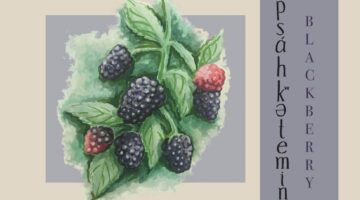 An image of an edible landscape trail sign featuring black raspberries
