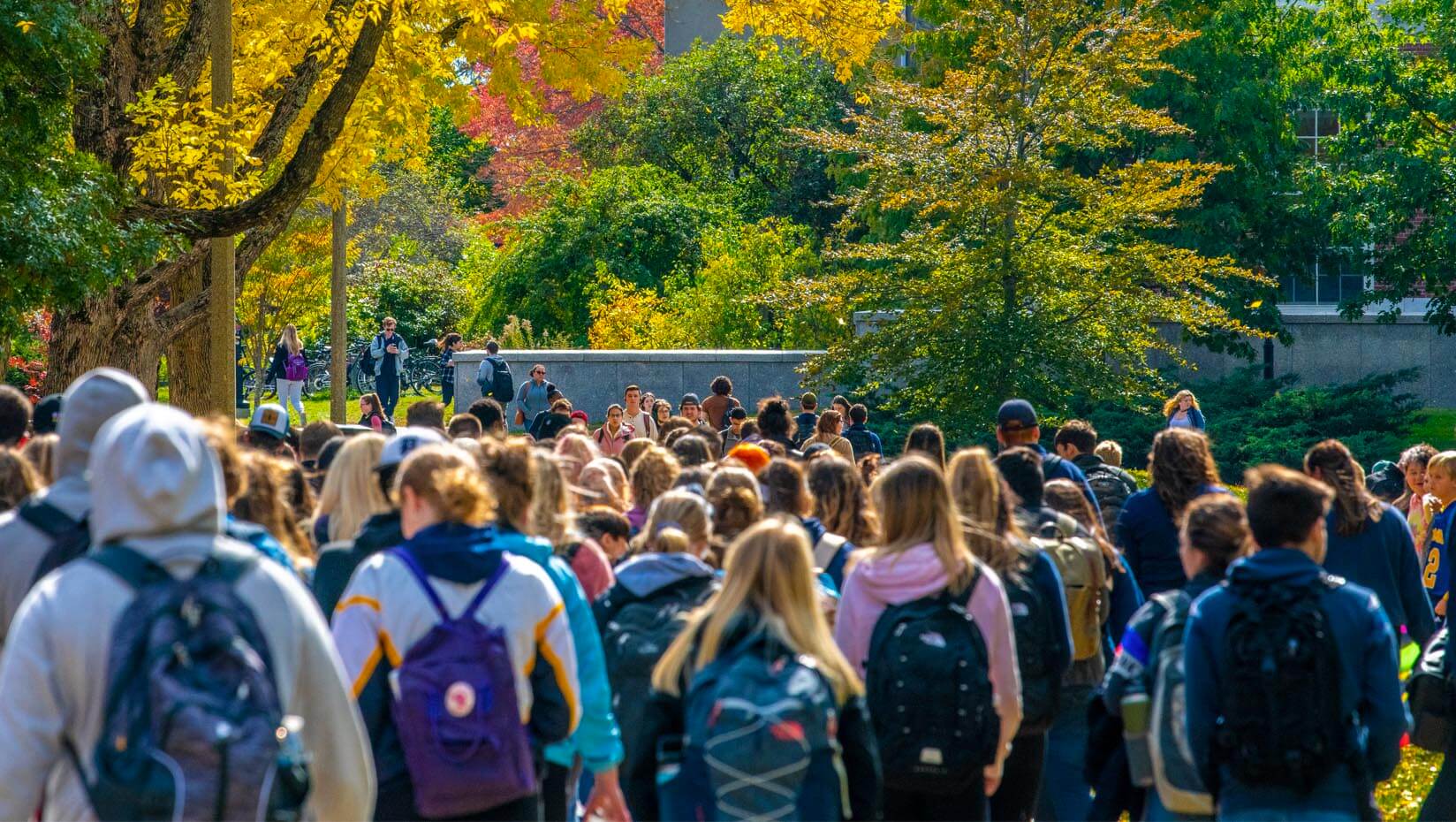A photo of students walking along UMaine's Mall